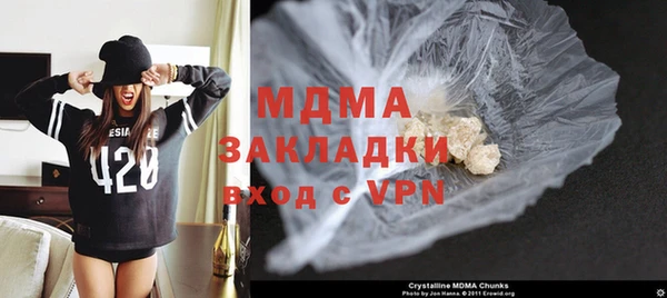 шишки Арсеньев