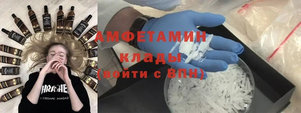 шишки Арсеньев