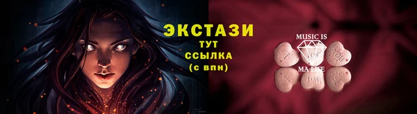 шишки Арсеньев