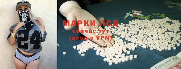 шишки Арсеньев