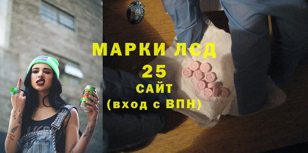 шишки Арсеньев