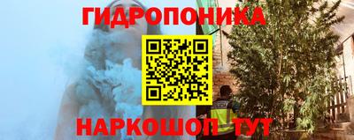 сатива Дубна