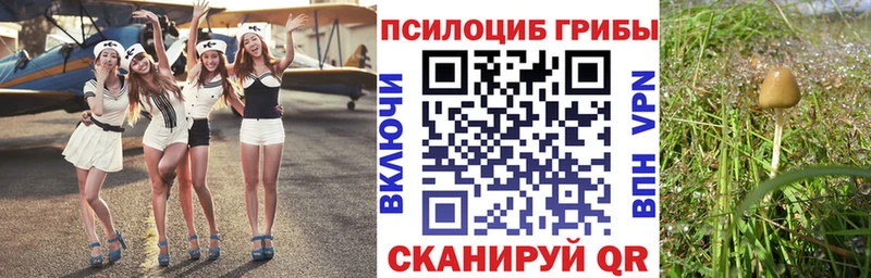 продажа наркотиков  Мытищи  OMG как войти  Псилоцибиновые грибы Magic Shrooms 