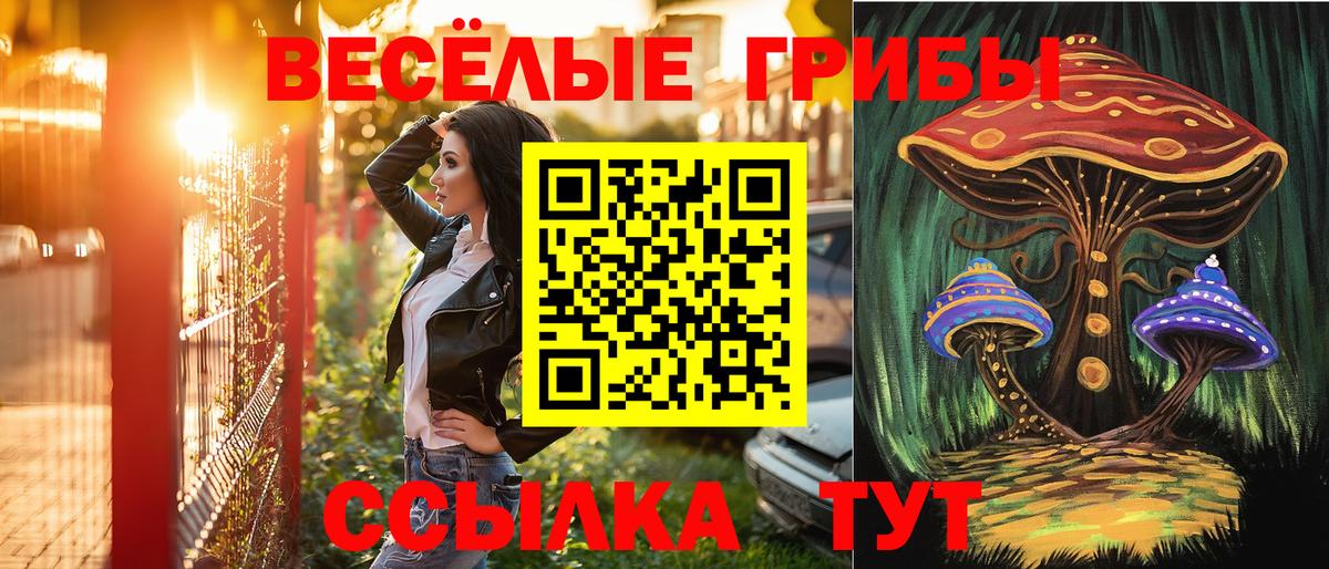 Псилоцибиновые грибы Psilocybe  Вход с VPN  Мытищи 