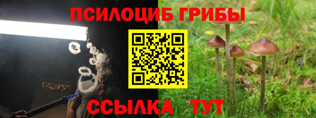 Псилоцибиновые грибы мицелий Мытищи